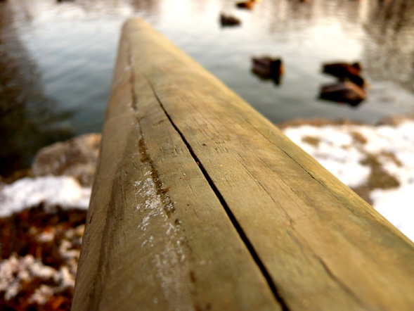 blog_holzgelaenderseeenten