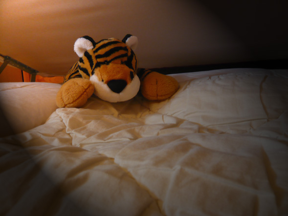 blog_monsteruntermbett1