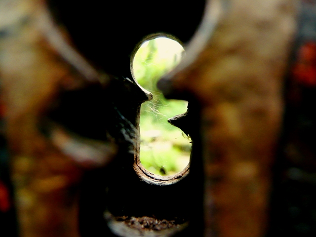 blog_erkenntnis2b blog_erkenntnis2b