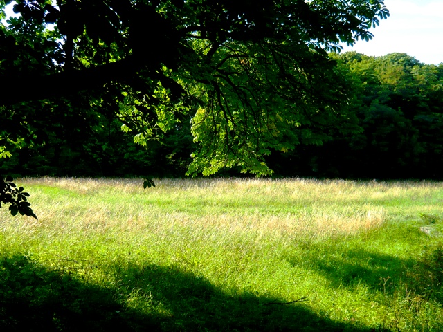 blog_erkenntnis4 blog_erkenntnis4