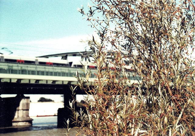 blog_canon02