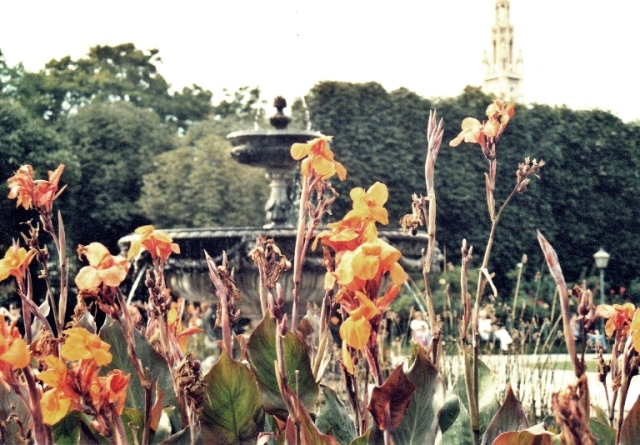 blog_canon06