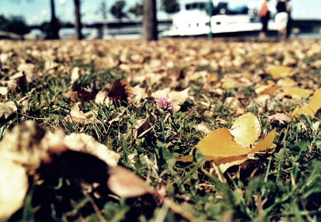 blog_canon09