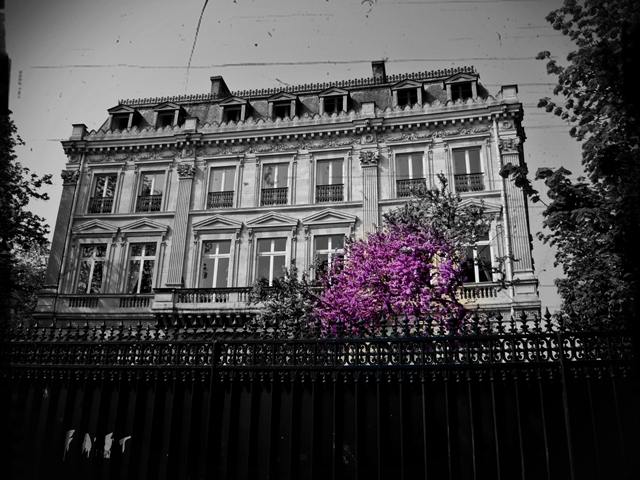 blog_landschaftscolorkey2