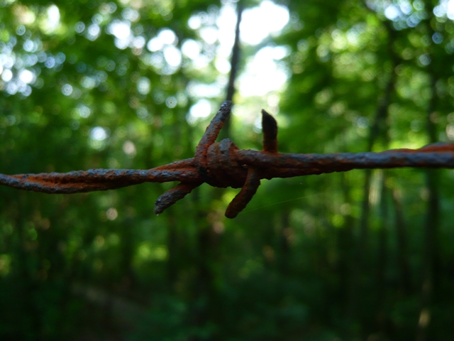 blog_roststacheldraht1