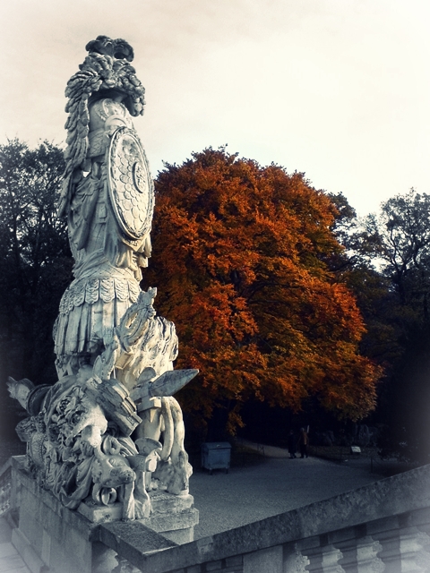 blog_schoenemomente_hw_goldenerbaum