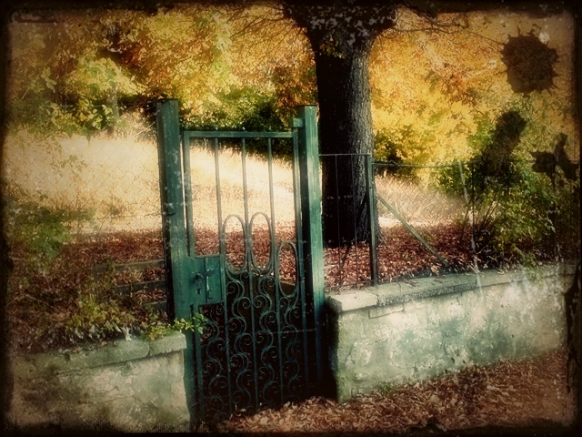 blog_schoenemomente_hw_tor blog_schoenemomente_hw_tor