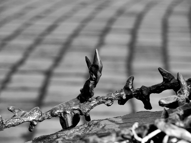 Serie – Formen/Muster&nbsp;(Zacken)