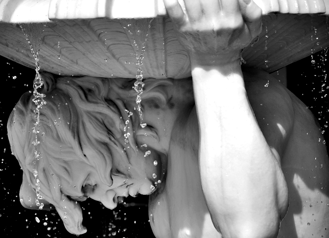 Immer wieder Wien – Ein Beitrag über&nbsp;Versteinertes