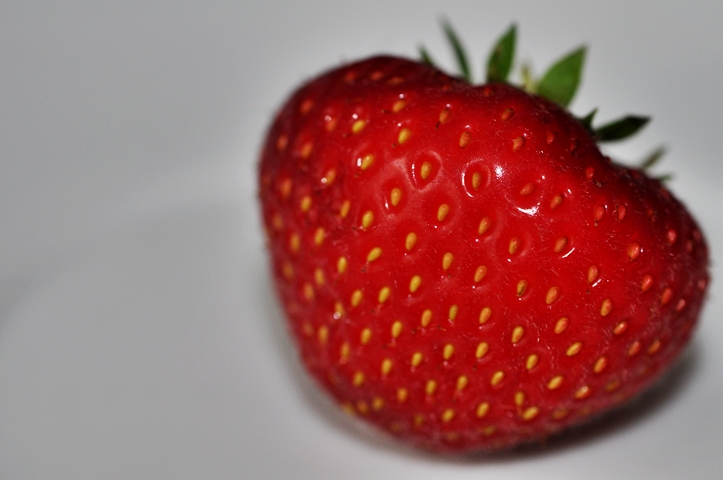 PhotoProjekt 2010: Regenbogen&nbsp;ROT