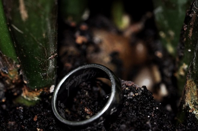 blog_einstehtimwalde