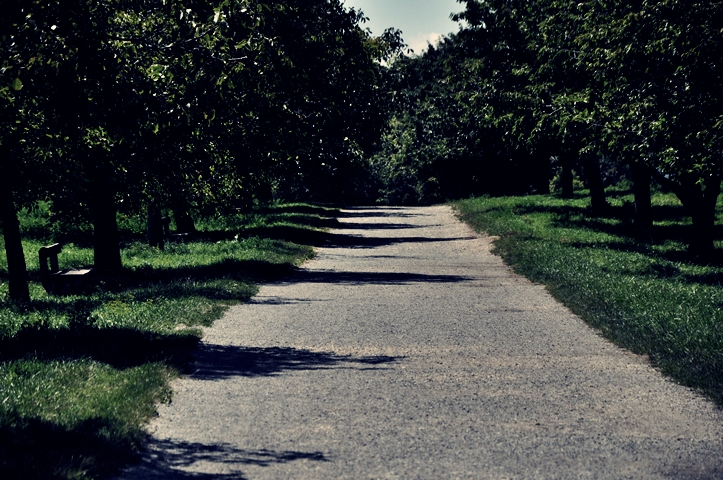Steinhof-Gründe (und Blümchen-Alarm!)