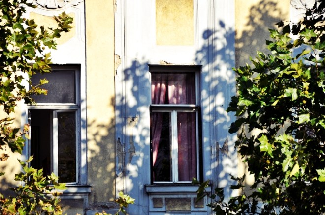 blog_blickausdeinemfenster2