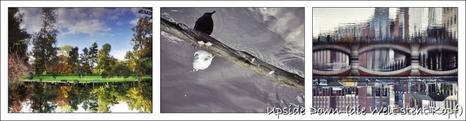 blog_gesetzderserie_september