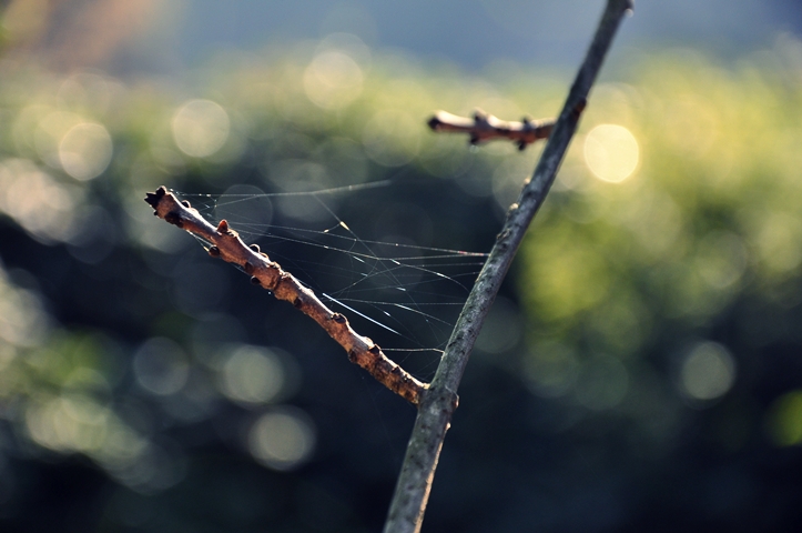 Autumn, my love Pt.&nbsp;II