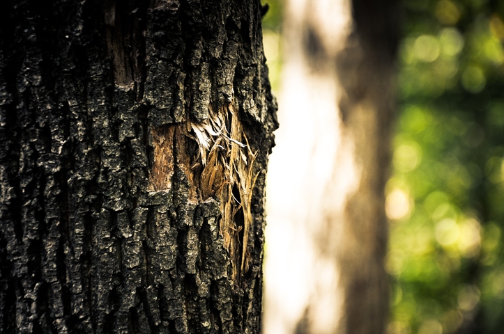 Autumn, my love Pt. III & 52&nbsp;Songs