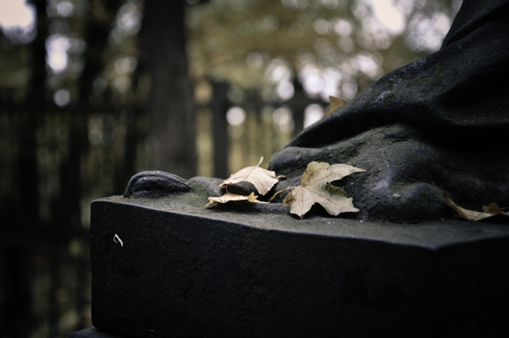 Herbst am Kahlenberg II & 52&nbsp;Songs