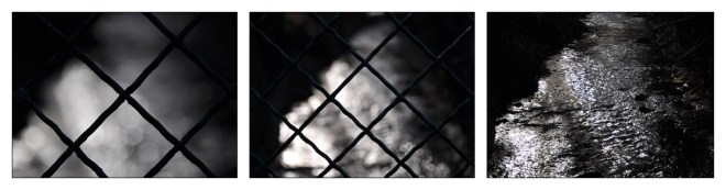 blog_zaun-bokeh-wasser-licht