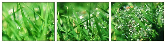 blog_rundherum10-natur