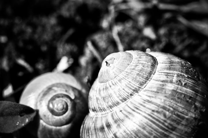 rundherum Juli: zwei