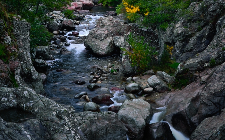 die Urlaubsbilderflut: Natur und&nbsp;Details