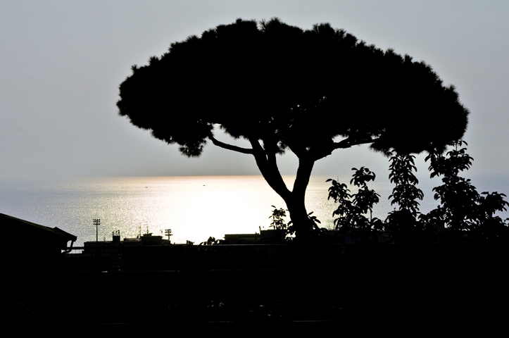 Die Urlaubsbilderflut: light at&nbsp;night