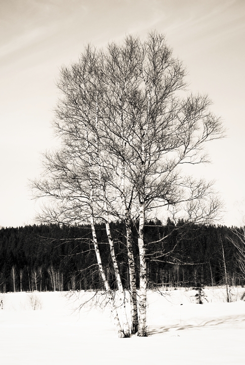 blog_kitzbuehel1302-5