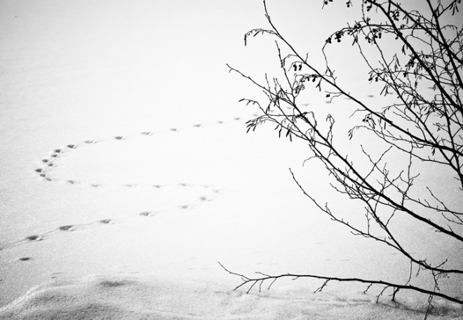 blog_kitzbuehel1302-6