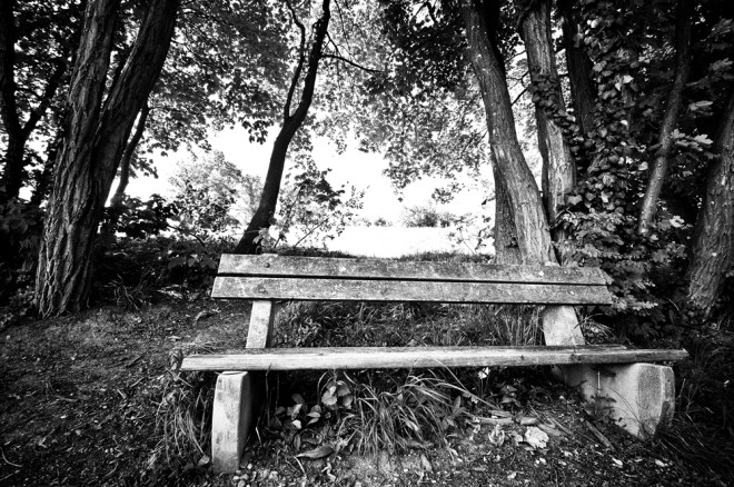 blog_waldwanderung1305-01