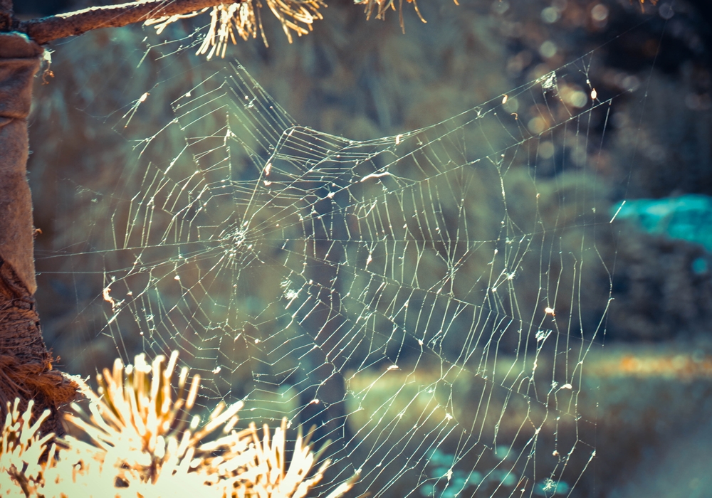 blog_japanischergarten1306-05