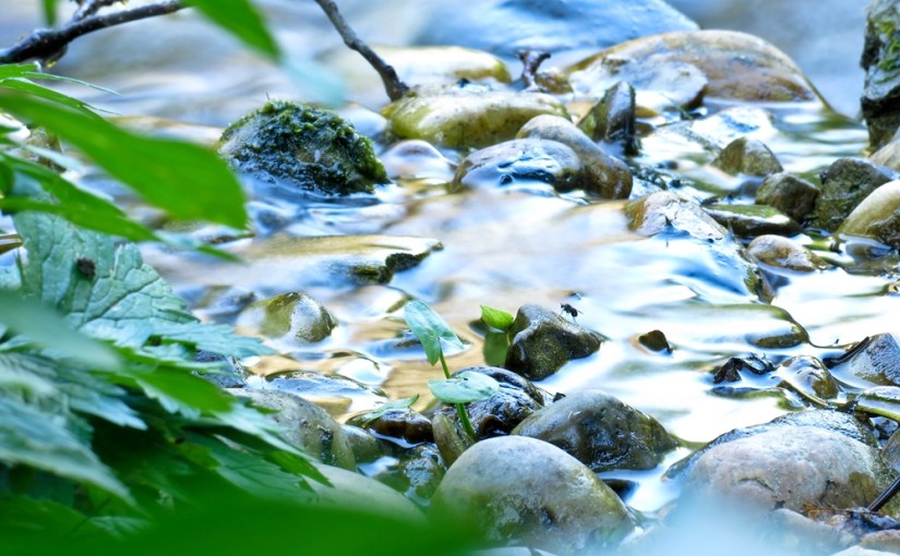 Magic Monday 5 oder Kurzurlaub im fernen Osten – Teil&nbsp;2