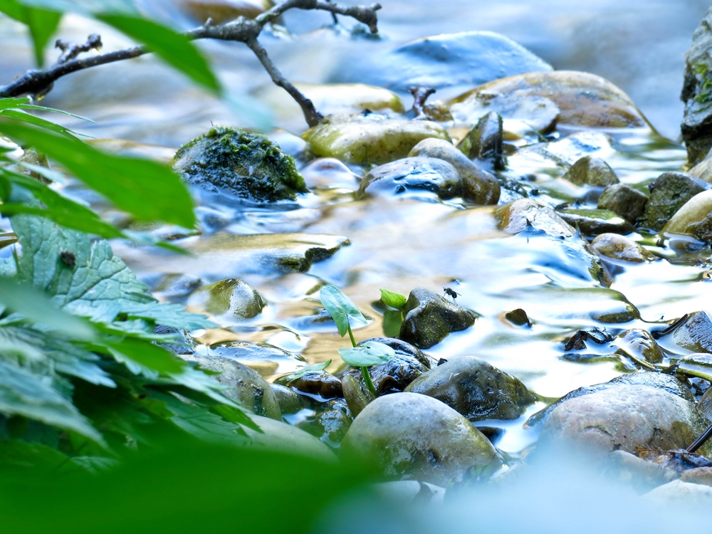 blog_japanischergarten1306-12