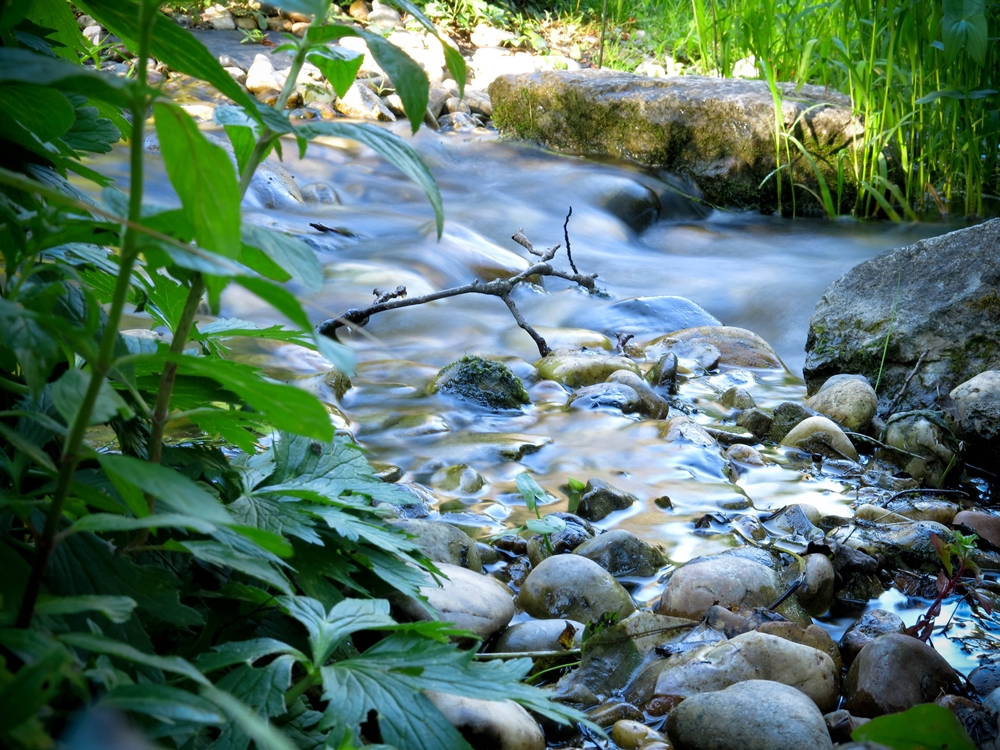 blog_japanischergarten1306-13