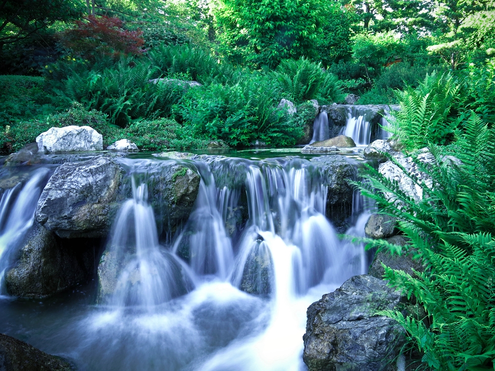 blog_japanischergarten1306-15