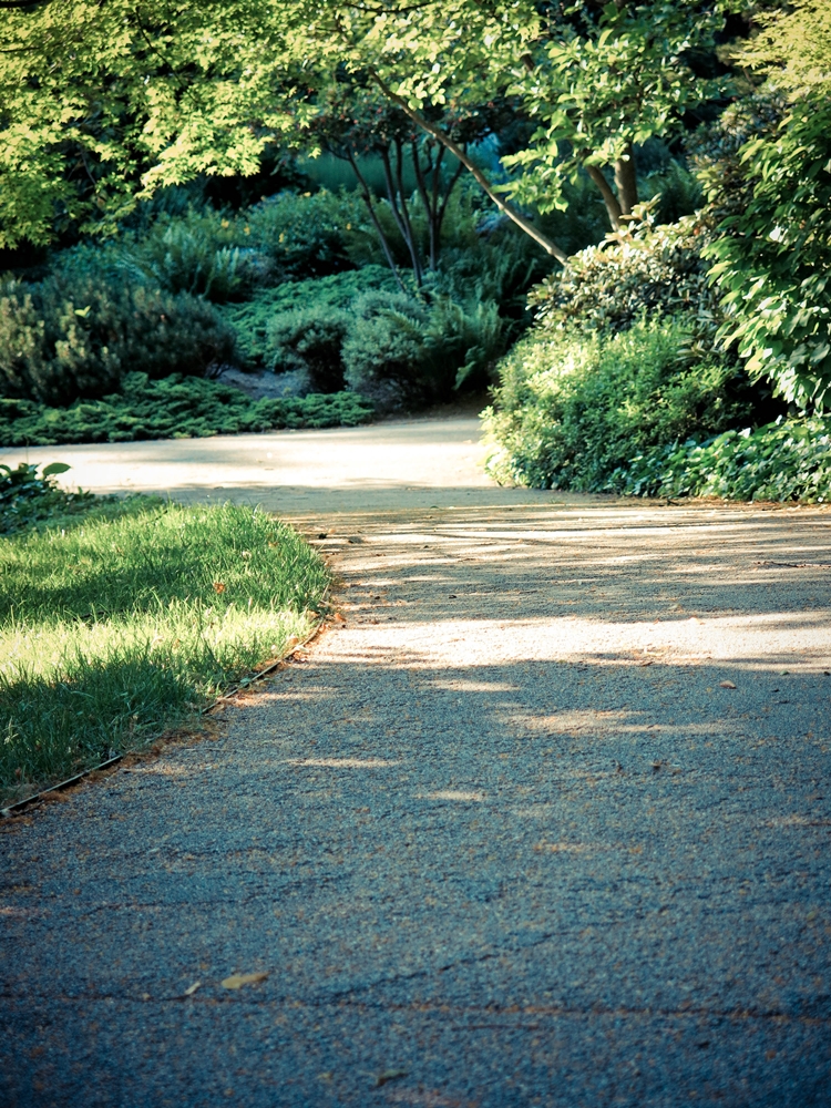 blog_japanischergarten1306-16