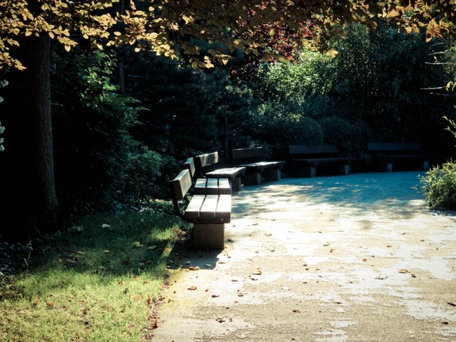 blog_japanischergarten1306-17