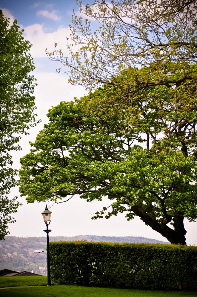 blog_urlaub1305-bergenklassisch11