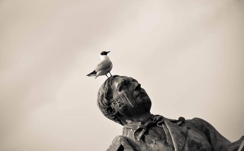 AIDA Nordeuropa7 Mai 2013: Federvieh &&nbsp;Co