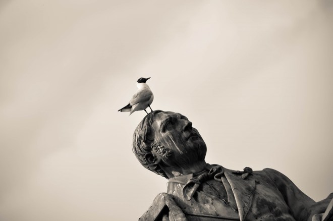 blog_urlaub1305-federviehundco04