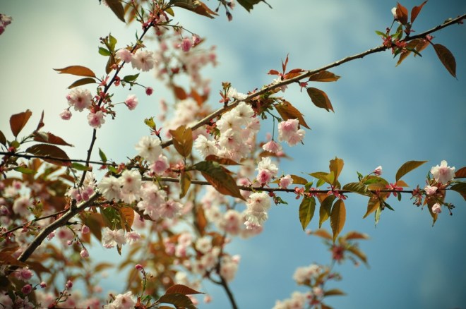 blog_urlaub1305-ueberallundnirgendwo05