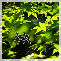 logo_magicmonday200px