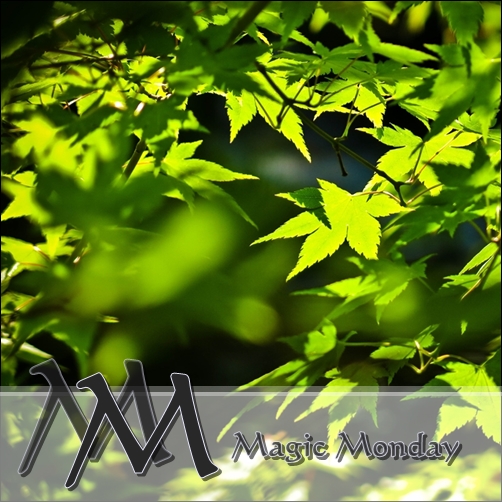 logo_magicmonday500px