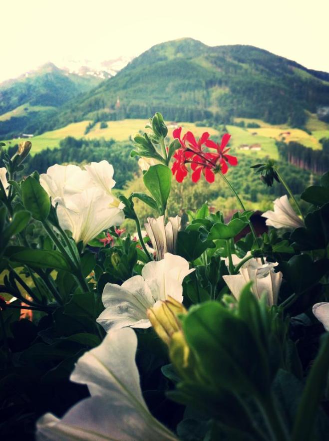 blog_hintersee-iphone05