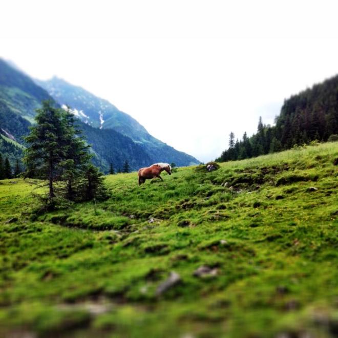 blog_hintersee-iphone06