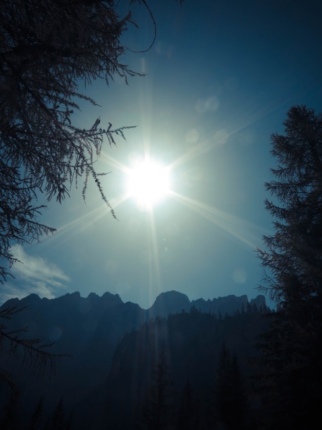 blog_dolomitenwandern-wald02