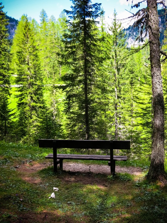 blog_dolomitenwandern-wald07