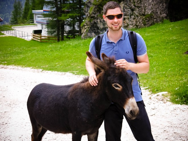 blog_dolomitenwandern-wiesen-blumen03