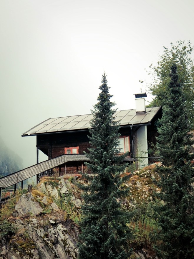 blog_tristachersee1