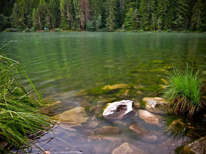 blog_tristachersee2