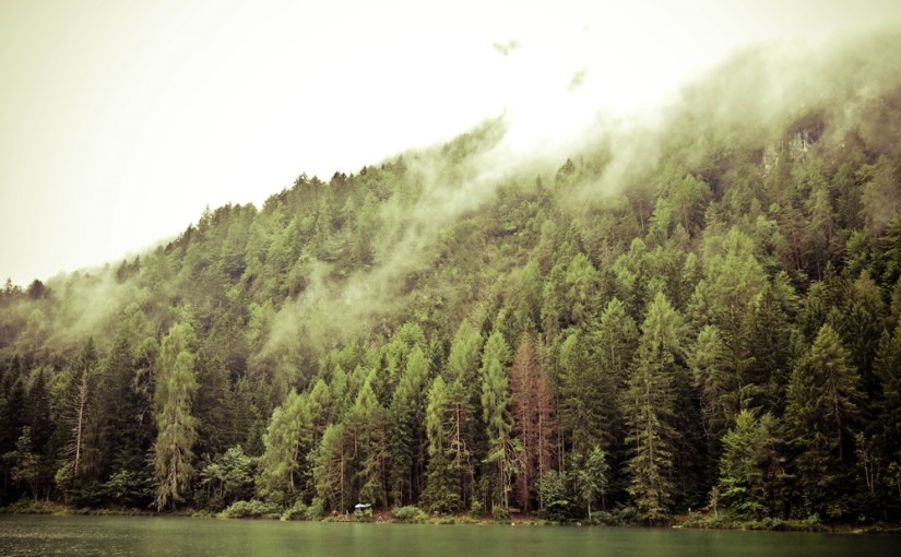 Magic Monday Woche 11 oder: Herbstgefühle quer durch&nbsp;Österreich